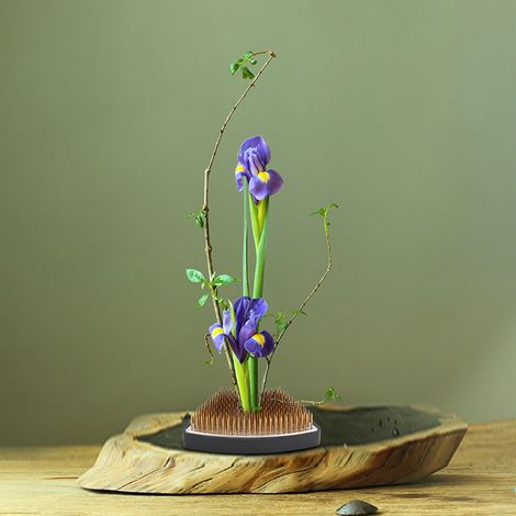 Bogenförmiger Kenzan-Blumenhalter, Nadeln für Blumenarrangements, Zubehör für Blumenarrangements (S) (1/5)
