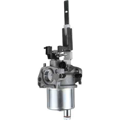 Ariens08201024 St224 Carburetor for Husqvarna LCT 254cc Snowplow 20001171--DTEKGAZ