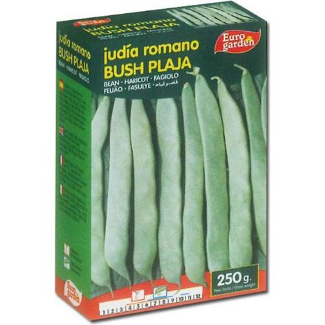 semillas fito leguminosa judia romano bush plaja 250 gr 4520