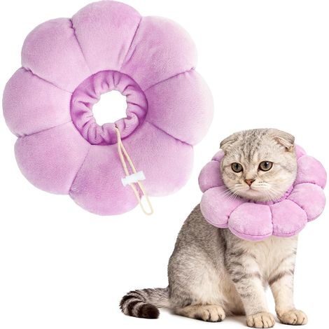 Colerette Chat Anti Léchage, Collerettes, Chirurgie, Ajustable, Tournesol, Léchage (1/5)