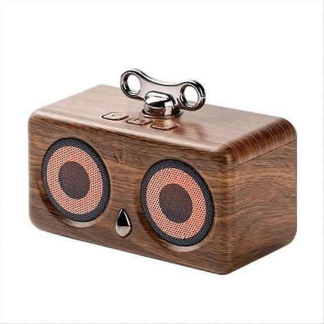 Tragbarer, kabelloser Lautsprecher in Eulenform, wasserdicht, Stereoklang, tiefer Bass, lange Akkulaufzeit für Outdoor-Sportarten (1/5)