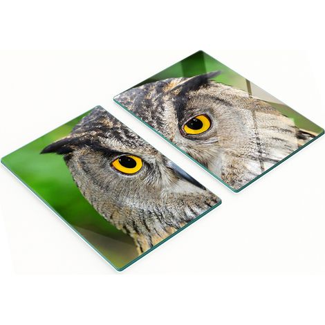 Planche décorative multifonctionnelle de cuisine en verre trempé en forme de hibou 2x40x52 cm (1/5)