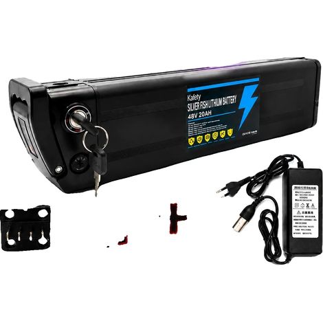 Batería de litio, capacidad de 20 Ah, compatibilidad versátil, enchufe Silverfish-T de 48 V. (1/2)
