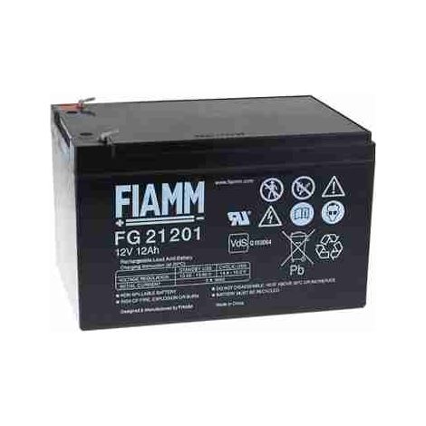 Roger - BT12V120 BATERÍA DE PLOMO 12V 12Ah