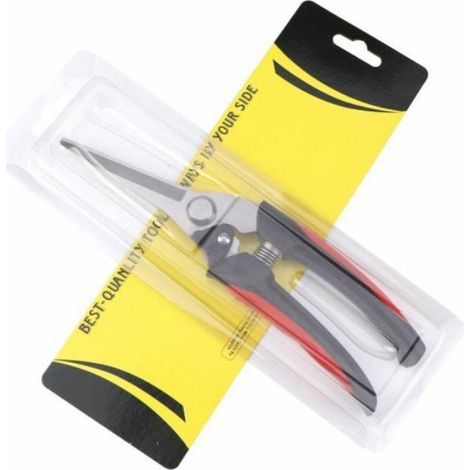 Sécateur Jardin Acier Inoxydable, Cisailles Arbres Fruitiers, Taille Branches Vergers, Outil Professionnel (1/4)