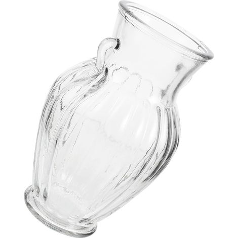 Vase en Verre Transparent Vintage à Double Anse Grand Col Large pour Fleurs Fraîches et Compositions Séchées Décor Intérieur Maison Bureau et Jardin Vase Hydroponique (1/5)