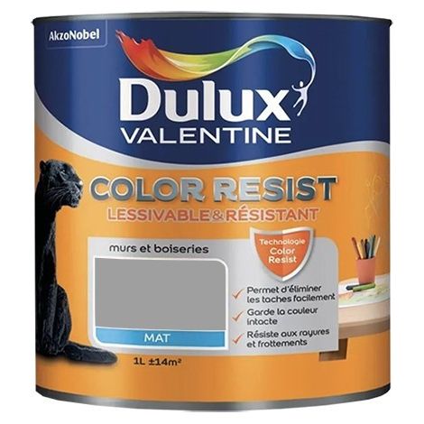 Dulux Valentine Peinture acrylique Color Resist Aluminium Mat 1 L (1/2)