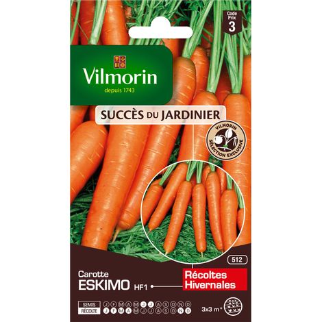 Vilmorin – Graines de carotte Eskimo HF1 – Hybride F1 résistante au gel – Semis de mai à juillet – Récolte d'octobre à mars (1/2)