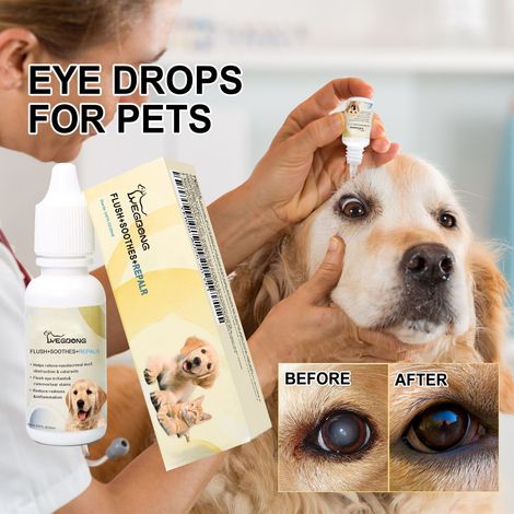 Gouttes oculaires pour animaux de compagnie afin de soulager l'inconfort oculaire chez les chats et les chiens, nettoyer les traces de larmes et les sécrétions oculaires - Produit de soin pour animaux (1/5)