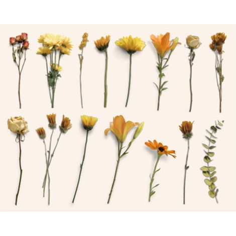 Vintage-Aufkleber mit botanischen Motiven, 30 Bögen mit Blumen- und Pflanzenaufklebern, Papier zum Scrapbooking, Tagebuchschreiben, Planen, für Laptops und Karten. (1/5)
