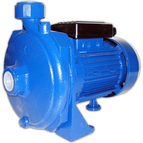 Elettropompa Centrifuga Maxima CM 100 Monofase (1/2)