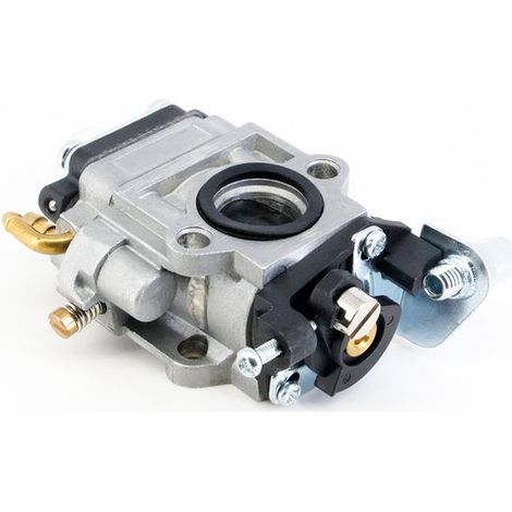 Accessori per tagliasiepi e tosaerba, per motori a due tempi con carburatore (1/5)