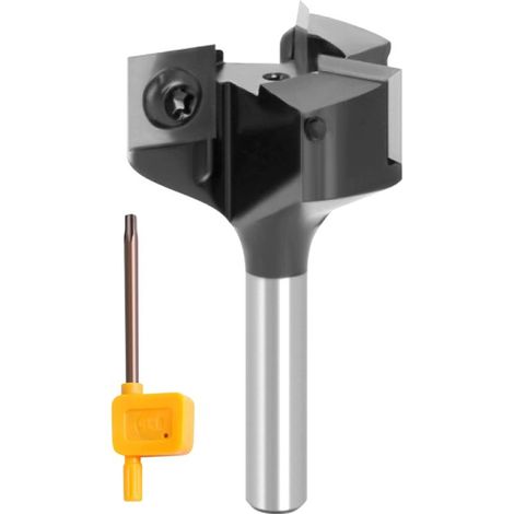 Fraise à Surfacer avec 3 Inserts 12 mm Diamètre de Tige 39 mm Diamètre de Coupe Fraise de Rabotage Fraise Défonceuse Coupeur de Bois Fraise CNC Fraise de Defonceuse a Bois (1/5)