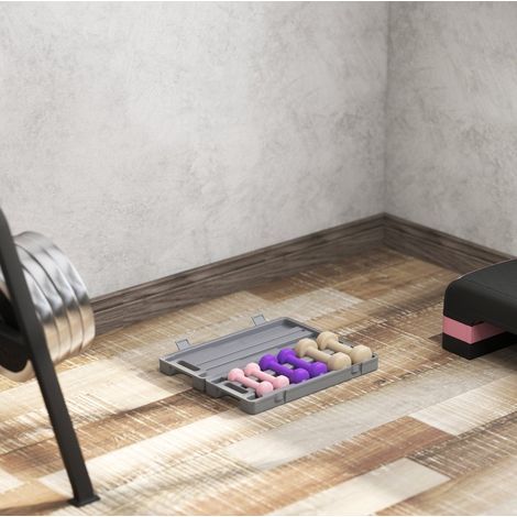 6-teiliges Hantelset mit Koffer, 0,5 kg, 1 kg und 1,5 kg, rosa, OKMYHOME (1/5)