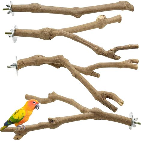 Lot de 4 perchoirs naturels pour oiseaux - Bâtons de raisin - Perchoir pour cage à perroquets - Jouet pour calopsittes, perruches, pinsons (1/5)