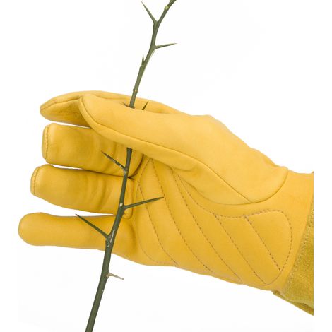 Filiyano-Gants en peau de mouton jaune, taille S - Gants en cuir rose jardin pour femmes Extetfrf (1/5)