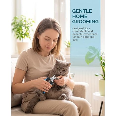 Coupe-Griffes Chien et Chat, Kit avec Lime et Cisailles - Pince pour Toilettage Animal (1/4)