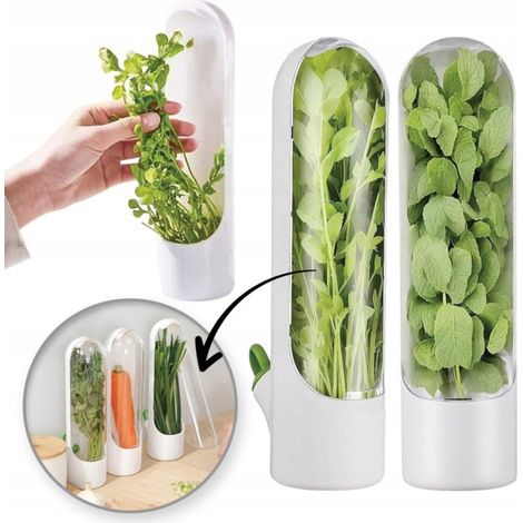 Recipiente ECARLA para almacenar hierbas frescas en el refrigerador, 25 x 6,5 cm, POJ08 (1/5)