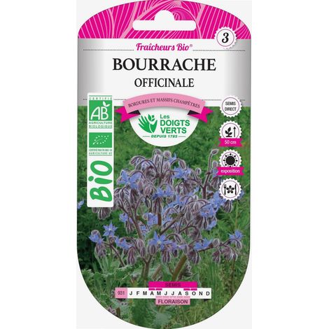 Graines bourrache officinale BIO Les Doigts Verts