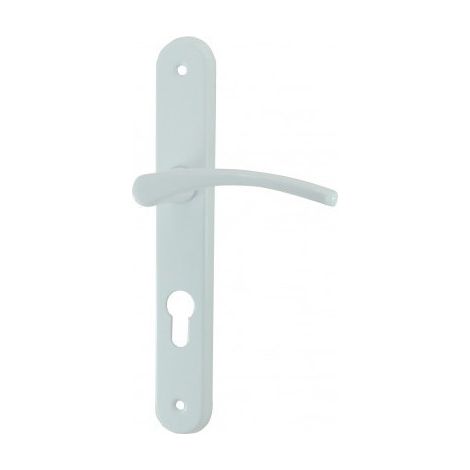 Ensemble poignée de porte sur plaque Cluses DT2000 Aluminium laqué blanc cylindre