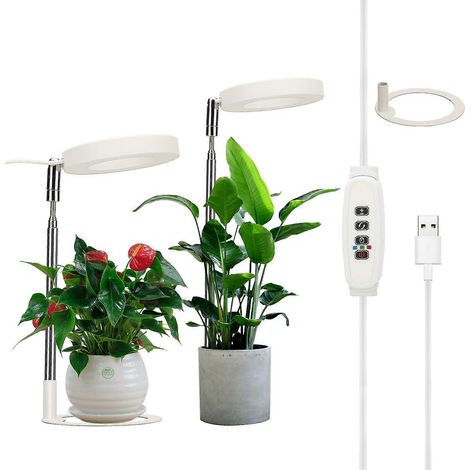 USB-Pflanzenringlampe mit Timer, Vollspektrum, für das Pflanzenwachstum in Innenräumen (1/5)
