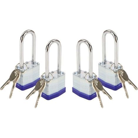 Ce cadenas à crochet de 40 mm de long avec clé est robuste et durable, fabriqué en acier laminé et convient aux portails, abris de jardin, boîtes à outils et casiers (avec clé). (1/4)