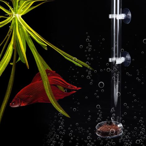 Distributeur de nourriture transparent et durable en acrylique pour poissons et crevettes d'aquarium, avec plateau (32 cm) (1/5)