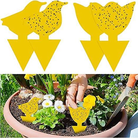 48pcs Plug-in Pige Mouches Plaques Jaunes Autocollant Jaune Plante De Protection Contre Les Pucerons, Les Mouches Des Feuilles Et La Vermine, Ida (1/5)