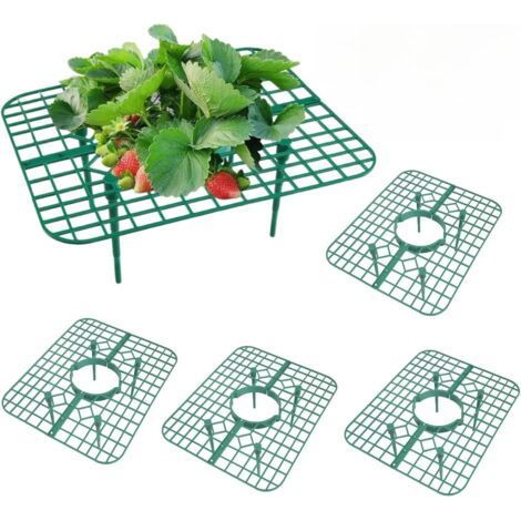 Lot de 5 supports de culture pour fraises et fruits (1/5)