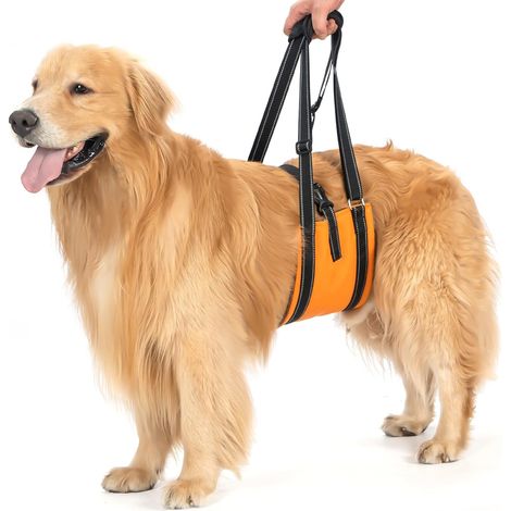 Harnais de Levage pour Chien, Harnais de Soutien pour Chiens Âges avec Poignée et Sangles pour Dysplasie de Hanche, Handicapées, Blessures Articulaires -Orange(M) (1/5)
