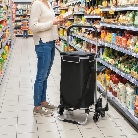 Chariot de courses, 40 litres, sac en Oxford, design à 3 roues, cadre en aluminium, siège, gris (1/5)
