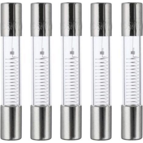 800mA 5KV 6x40mm High Voltage Microwave Oven Protection Fuses Fast Fuse 0.8A 5000V Glass Tube Fuse (Pack of 5pcs) (1/5)