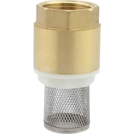 Clapet crepine anti retour vanne non retour clapet anti-retour pompe (1 pouce) Odipie (1/4)
