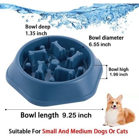 Gamelle anti-glouton, adaptée aux chiens de petite et moyenne taille. (1/4)