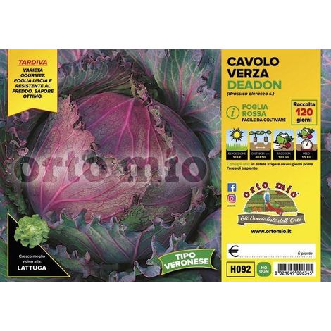ORTO MIO Cavolo Verza Rossa Veronese var. Deadon (1/2)