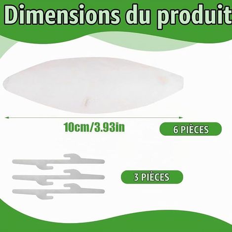 os de Seiche Oiseaux, Adapté aux Oiseaux, Aux Tortues et aux Reptiles, Jouets (1/4)
