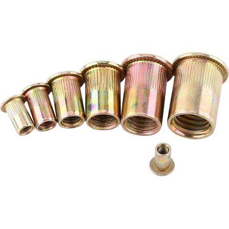 Zoternen Set di 100/20 pezzi di dadi per rivetti M3-M12 in acciaio al carbonio con filettatura piatta, dadi per rivetti flangiati, dadi per rivetti (M12/20 pezzi)