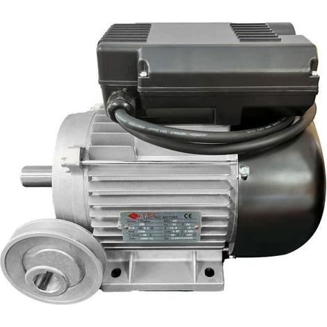 DOMAC ELEKTROMOTOR 3CV/230V MIT RIEMENSCHEIBE MTR3 (1/4)