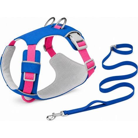Équipement de promenade pour chien bleu avec laisse L
