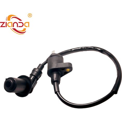 Transformateur haute tension compatible avec la bobine 0452309 POLARIS PHOENIX 200 RAPTOR 90 YFM90R (1/2)