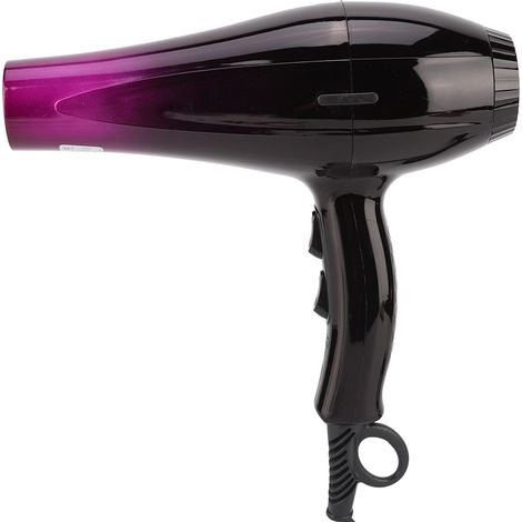 Sèche-cheveux électrique haute puissance pour chiens et chats, air chaud et froid (1/5)