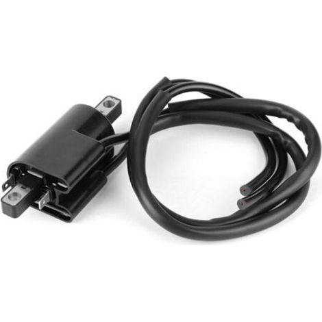 Zündspule 278000383, Zubehör passend für Sea-Doo GS GSi GSX GTS GTX GTX Ltd SP-Crezuo