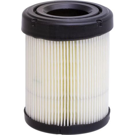 Filtro Air BRIGGS et STRATTON 796032