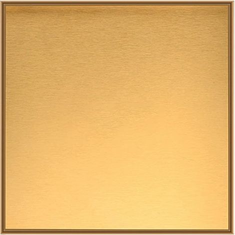 Bandeja de acero inoxidable, acabado dorado, organizador de joyas, accesorio decorativo, para bares y restaurantes. (1/5)