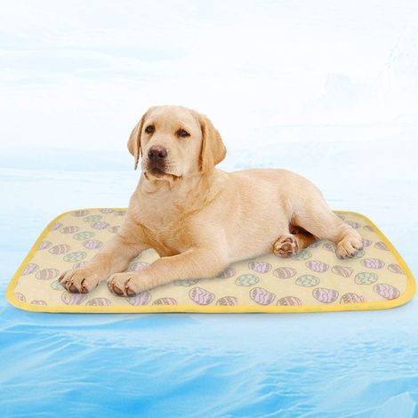 Tapis rafraîchissant pour animaux (M 70 cm x 50 cm), coussin pour chien et chat (1/5)