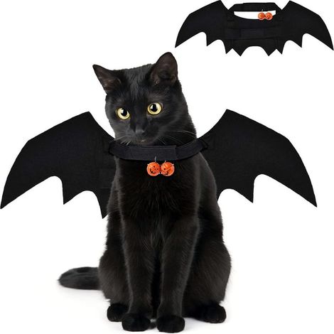 Costume d'Halloween avec ailes de chauve pour chien et chat L (1/5)