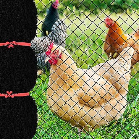 filet Anti-oiseaux De 7,6 X 15,2 M Avec Maille Carre De 2,5 Cm, Filet De Jardin Rutilisable Pour Poulailler, Filet De Volaille En Nylon Pour Cltur (1/5)