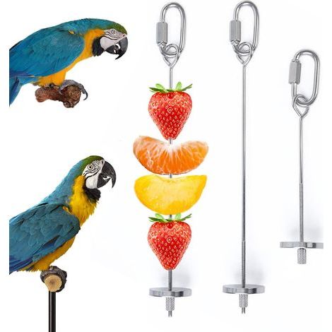 2 brochettes pour perroquets, brochettes en acier inoxydable pour oiseaux, porte-fruits pour perroquets, supports pour brochettes de perroquets (1/5)