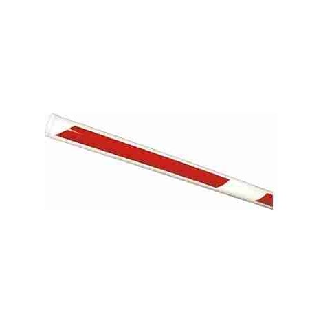 Asta Tonda Pivottante Lunghezza 3000 Mm X Barriera 230v 6 Standard Faac 428176