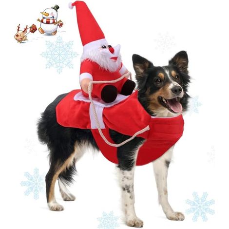 Déguisements pour animaux, costumes de Père Noël, Noël, costumes pour chiens (1/5)